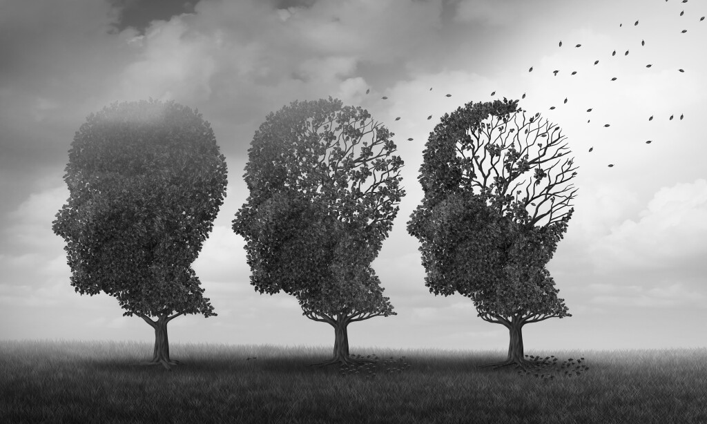 alzheimera karsi dogal cozum JBLJel71