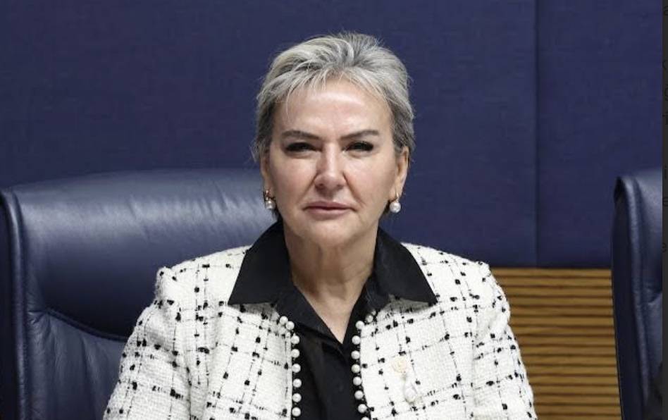 chpli milletvekili nimet ozdemirden yaz saati uygulamasi onergesi IGUprKAI